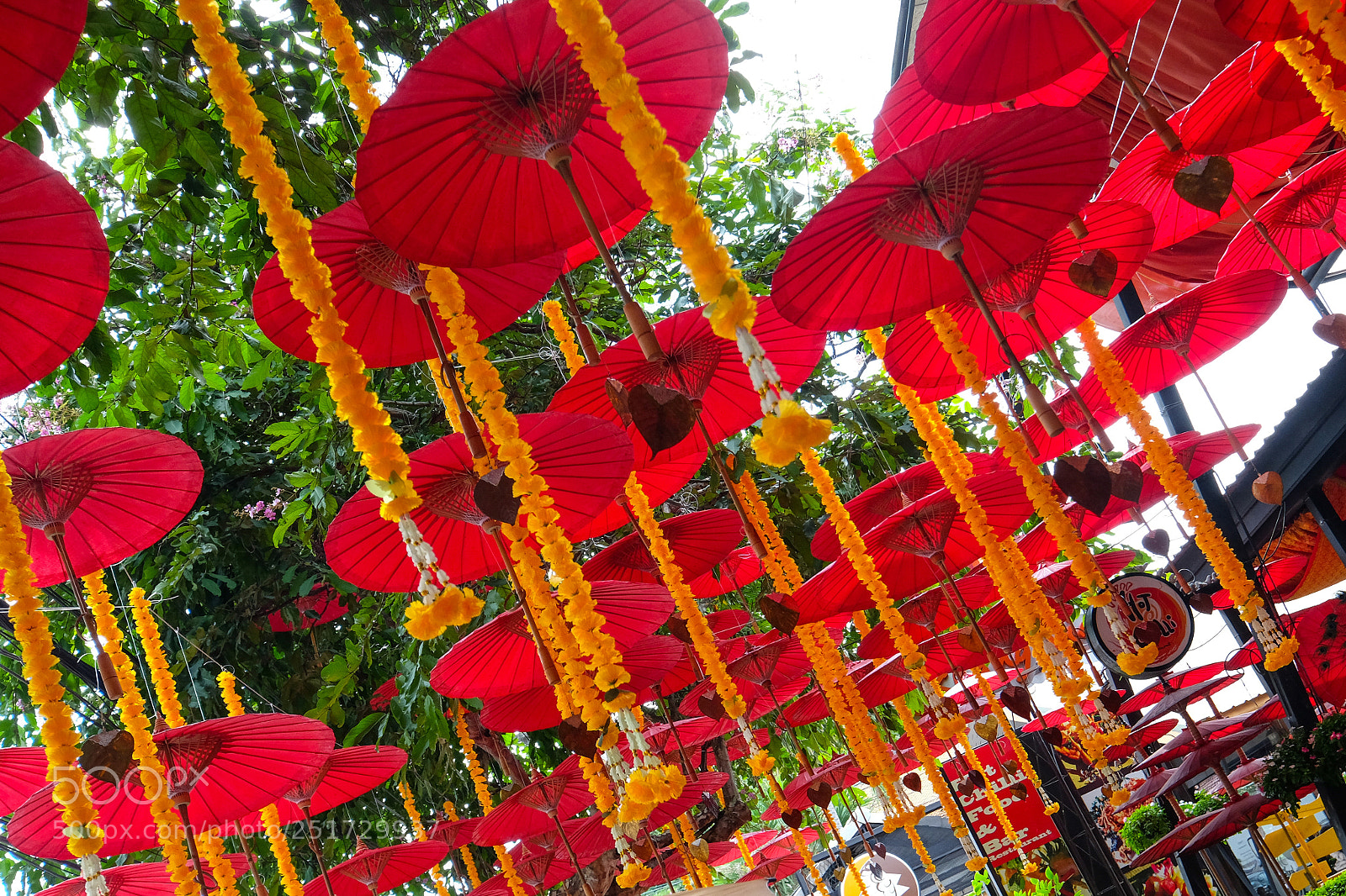 Fujifilm X-T10 sample photo. Chiang mai parasols photography
