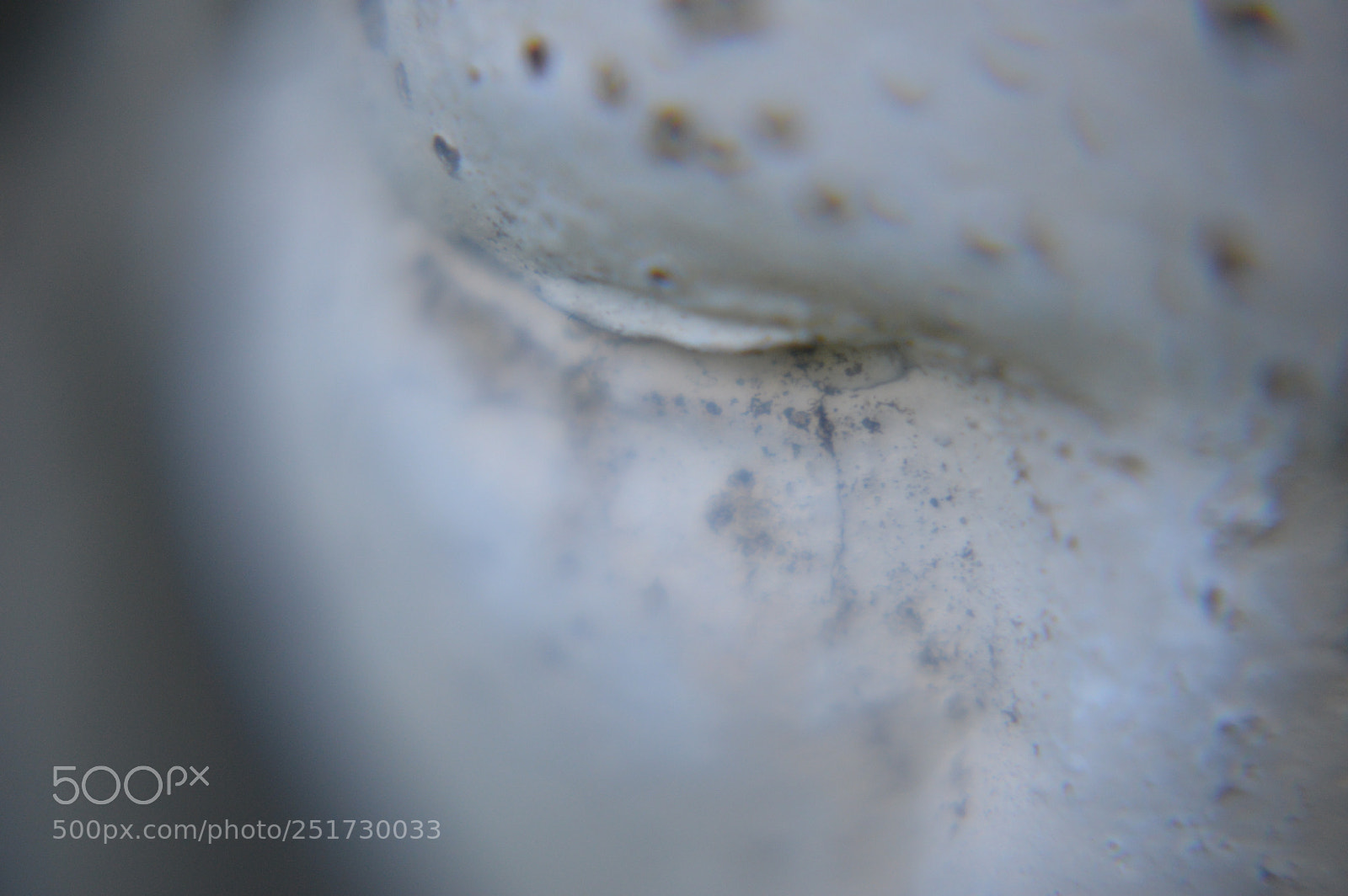 Nikon D3200 sample photo. Mary photography