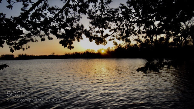 Canon PowerShot SX530 HS sample photo. On golden lake photography