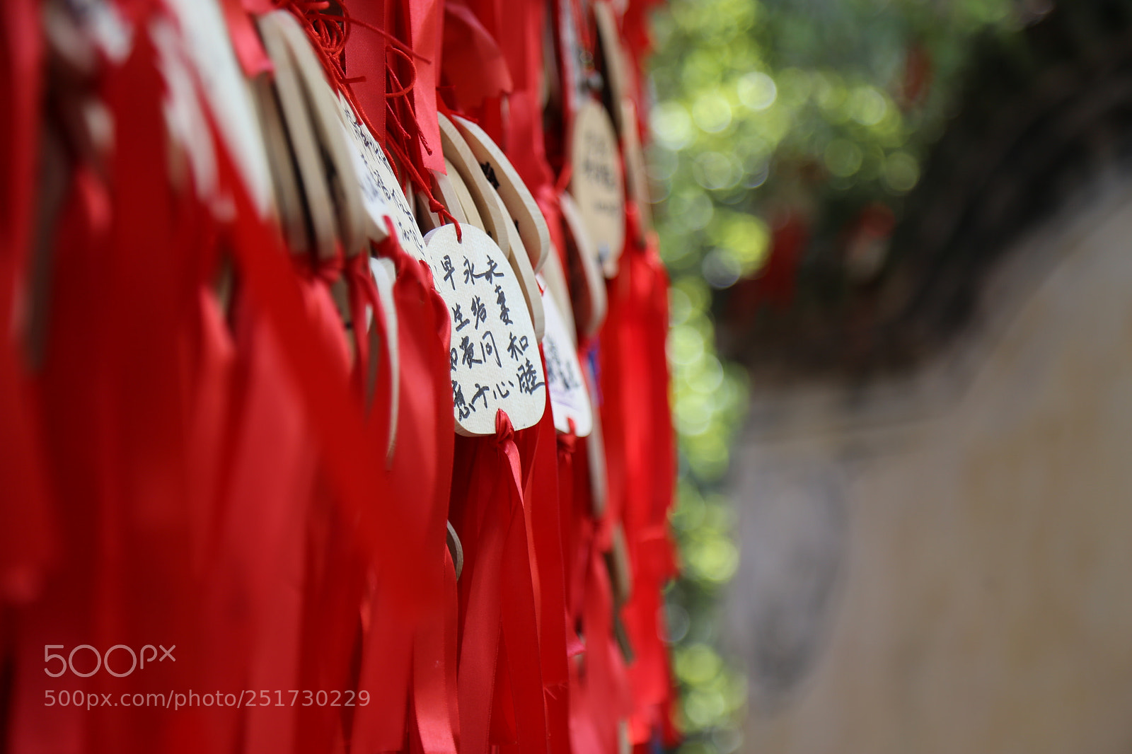 Canon EOS 6D + Canon EF 24-105mm F4L IS USM sample photo. Blessings photography