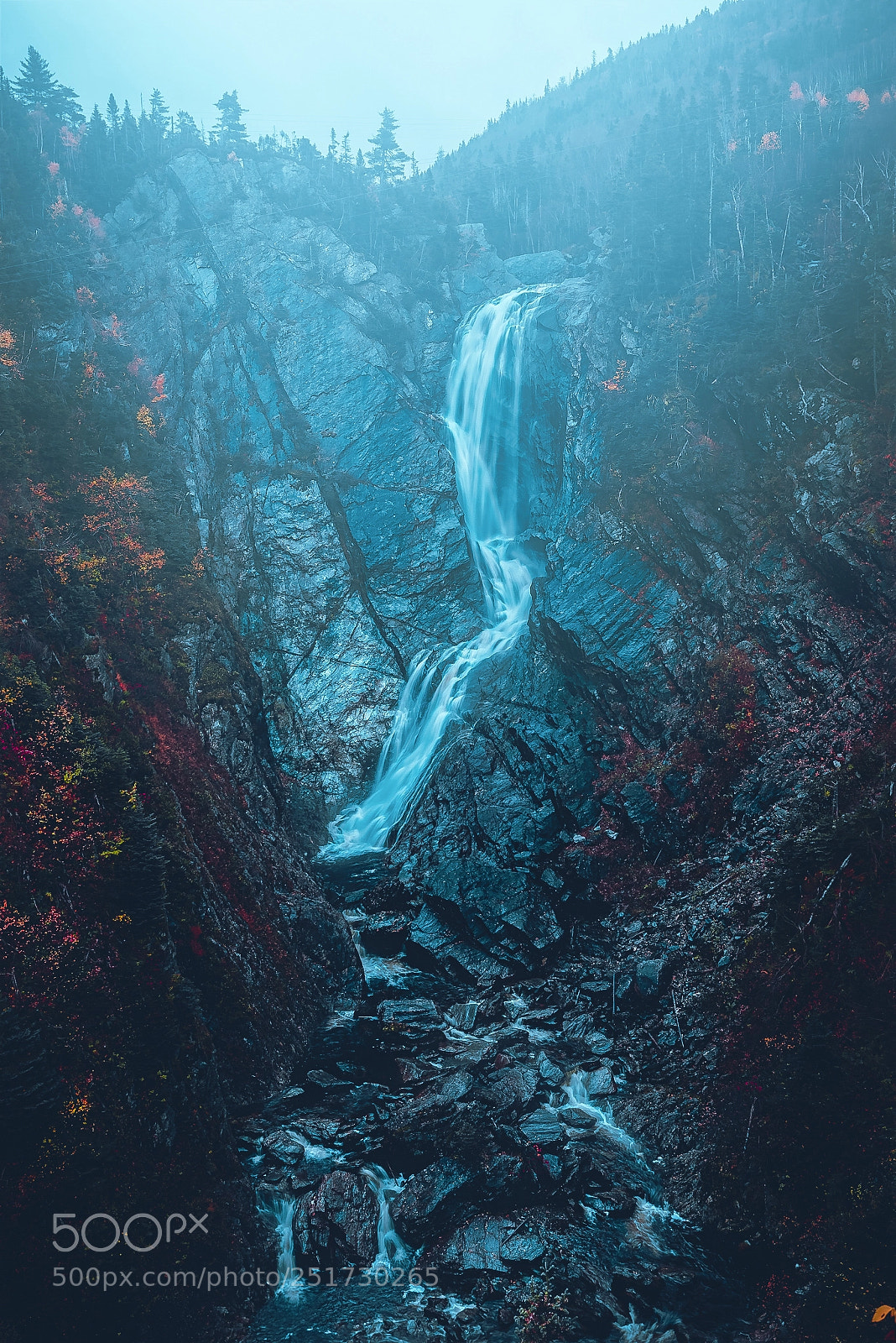 Nikon D810 sample photo. Steady brook falls photography