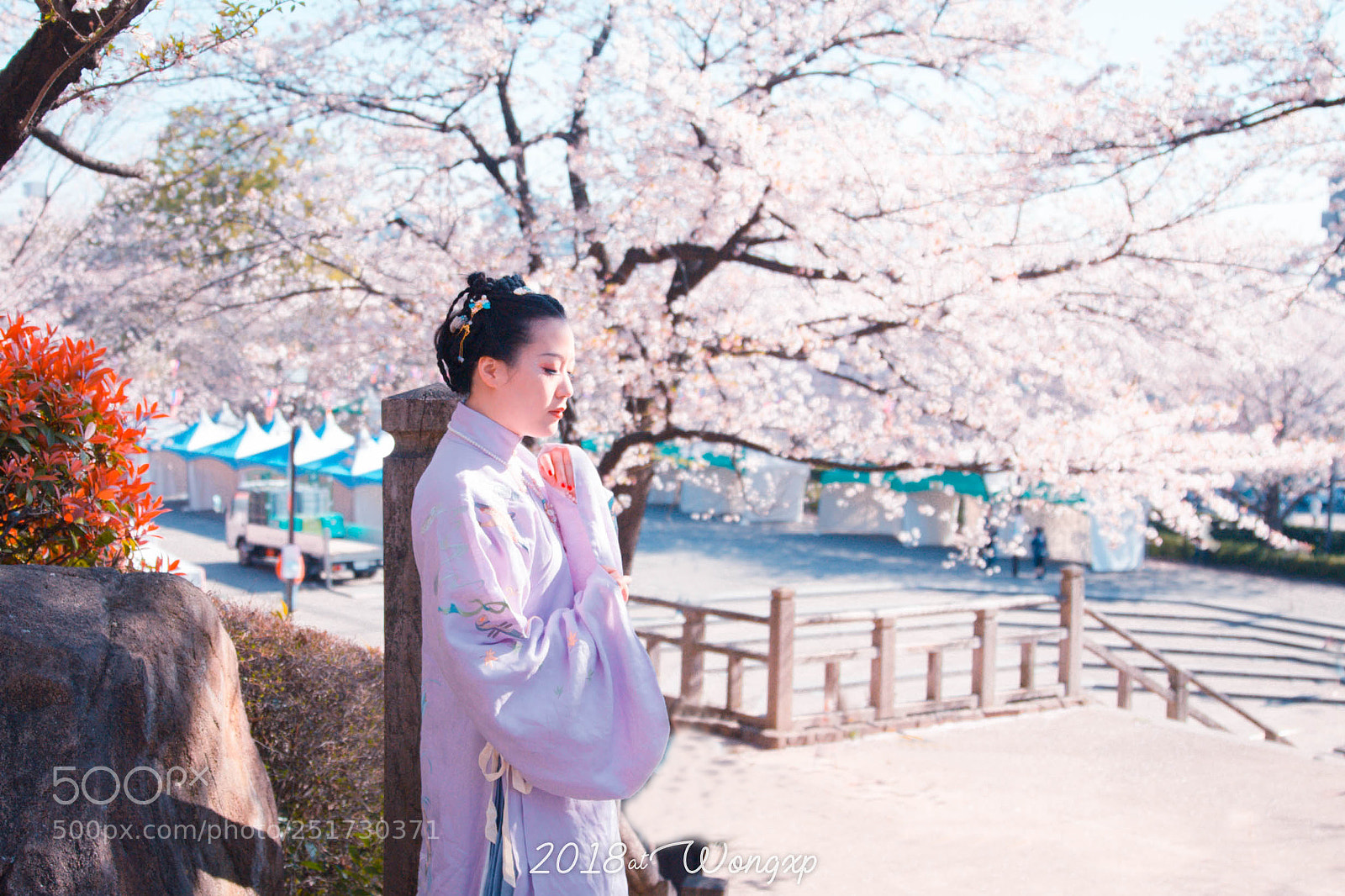 Canon EOS-1D X sample photo. Hanfu and sakura pic.1 photography