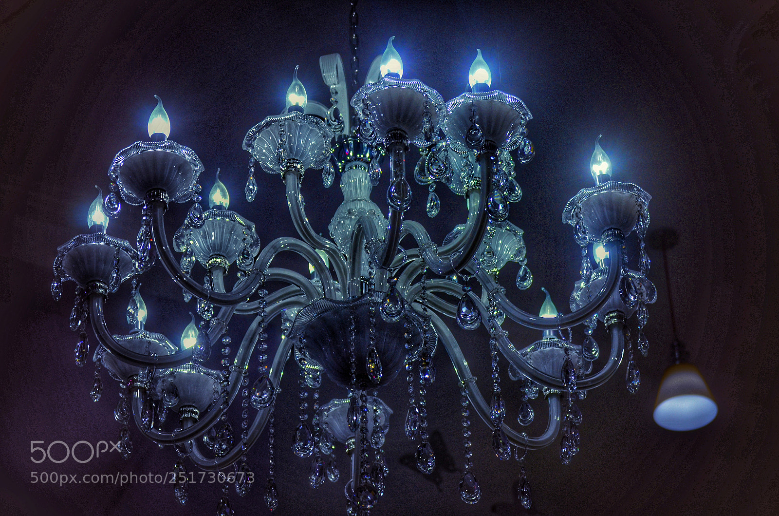 Nikon D5100 sample photo. Lights photography