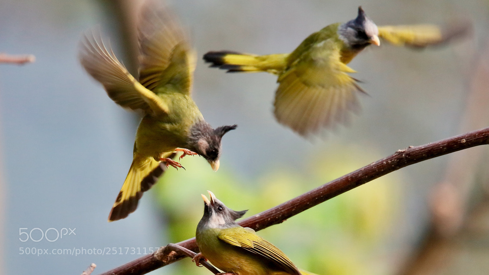 Canon EOS 5DS sample photo. Untitled photography