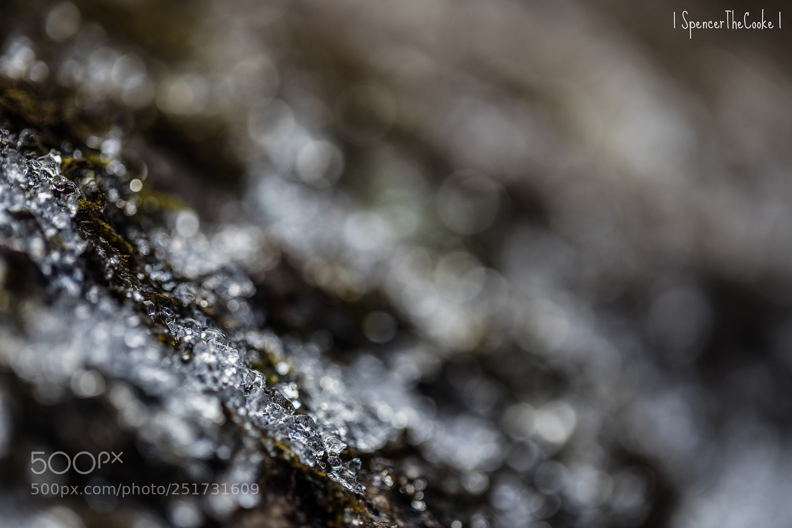 Canon EOS 5D Mark IV sample photo. Cold bokeh photography