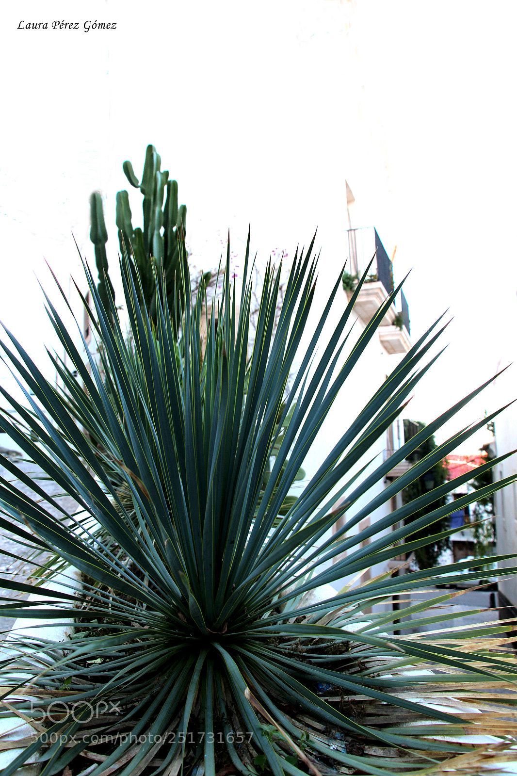 Canon EOS 100D (EOS Rebel SL1 / EOS Kiss X7) sample photo. Ibiza city photography