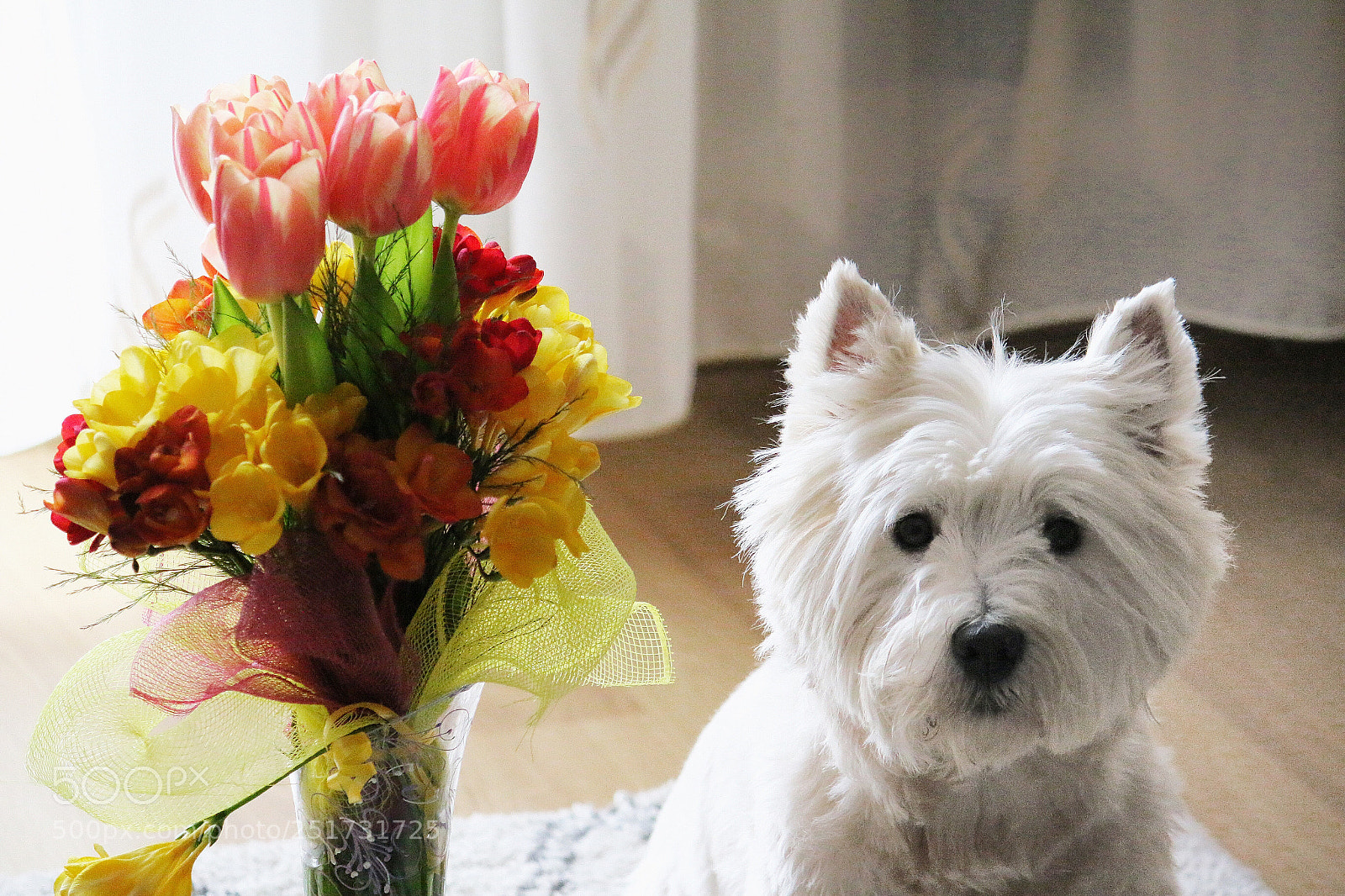 Canon EOS 70D sample photo. Happy happy photography