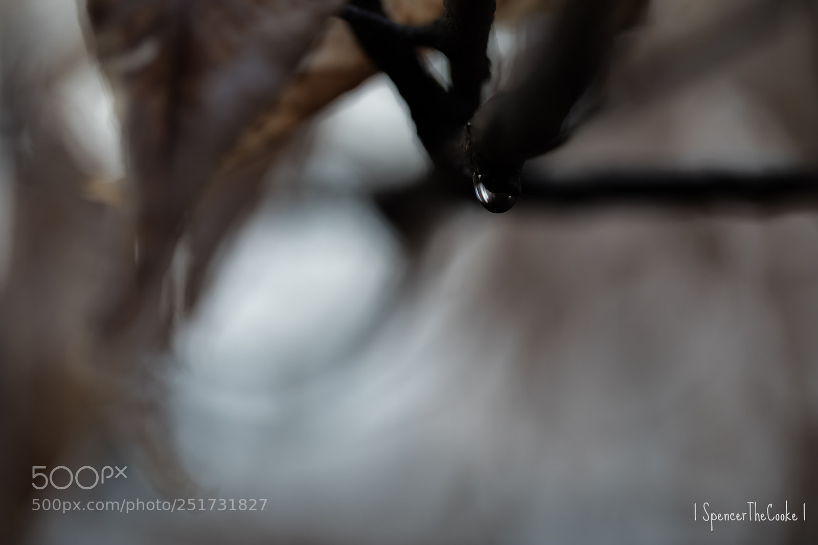 Canon EOS 5D Mark IV sample photo. Dream drop photography