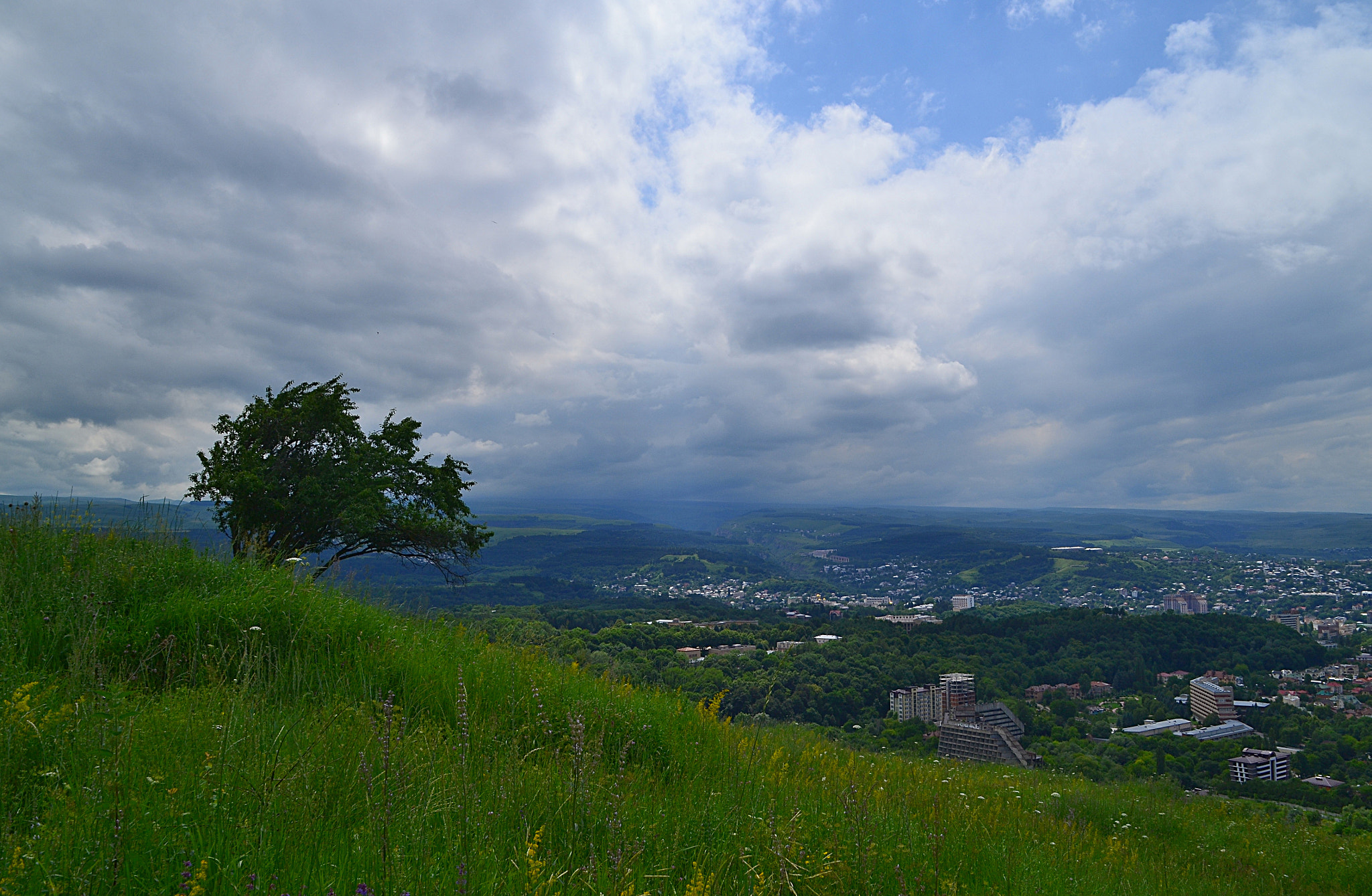 Nikon D3100 sample photo. Following the horizon photography