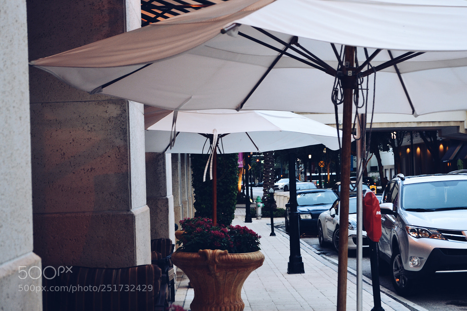Nikon D3100 sample photo. Umbrella street photography