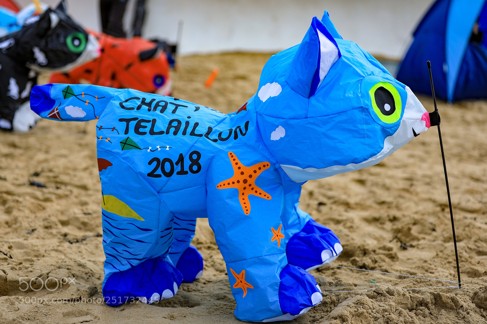 Canon EOS 5D Mark IV sample photo. Chat’telaillon 2018
cvchatel photography