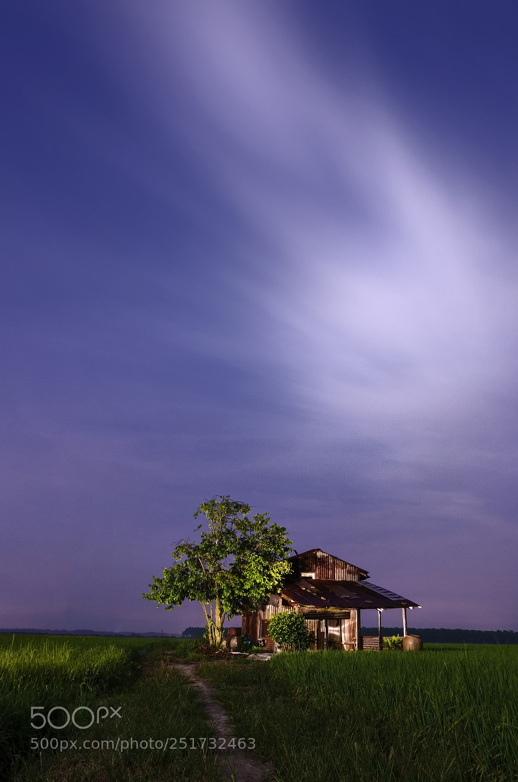 Nikon D7000 sample photo. Twilights photography