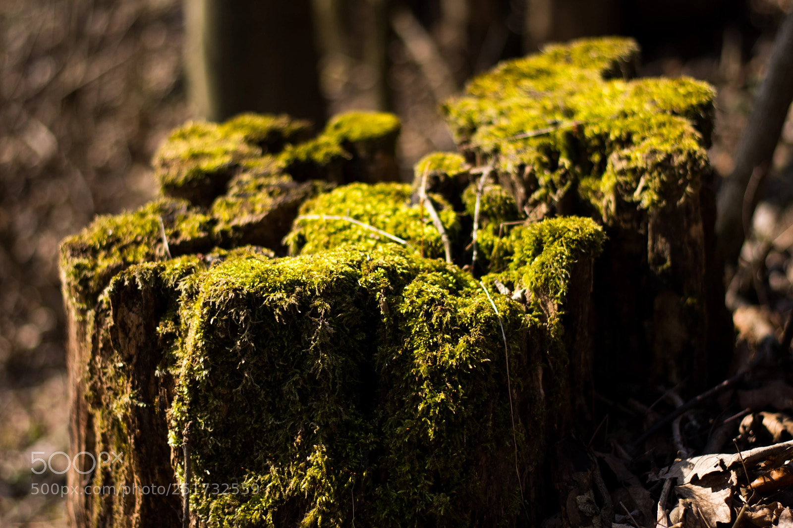 Nikon D7200 sample photo. Tix photography