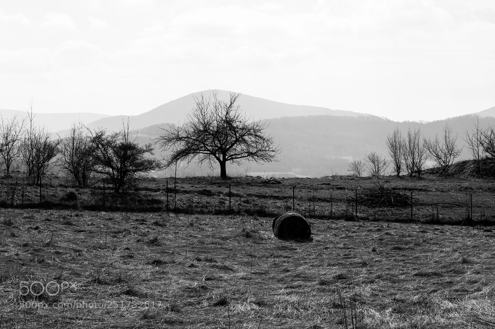 Nikon D7200 sample photo. Tix photography