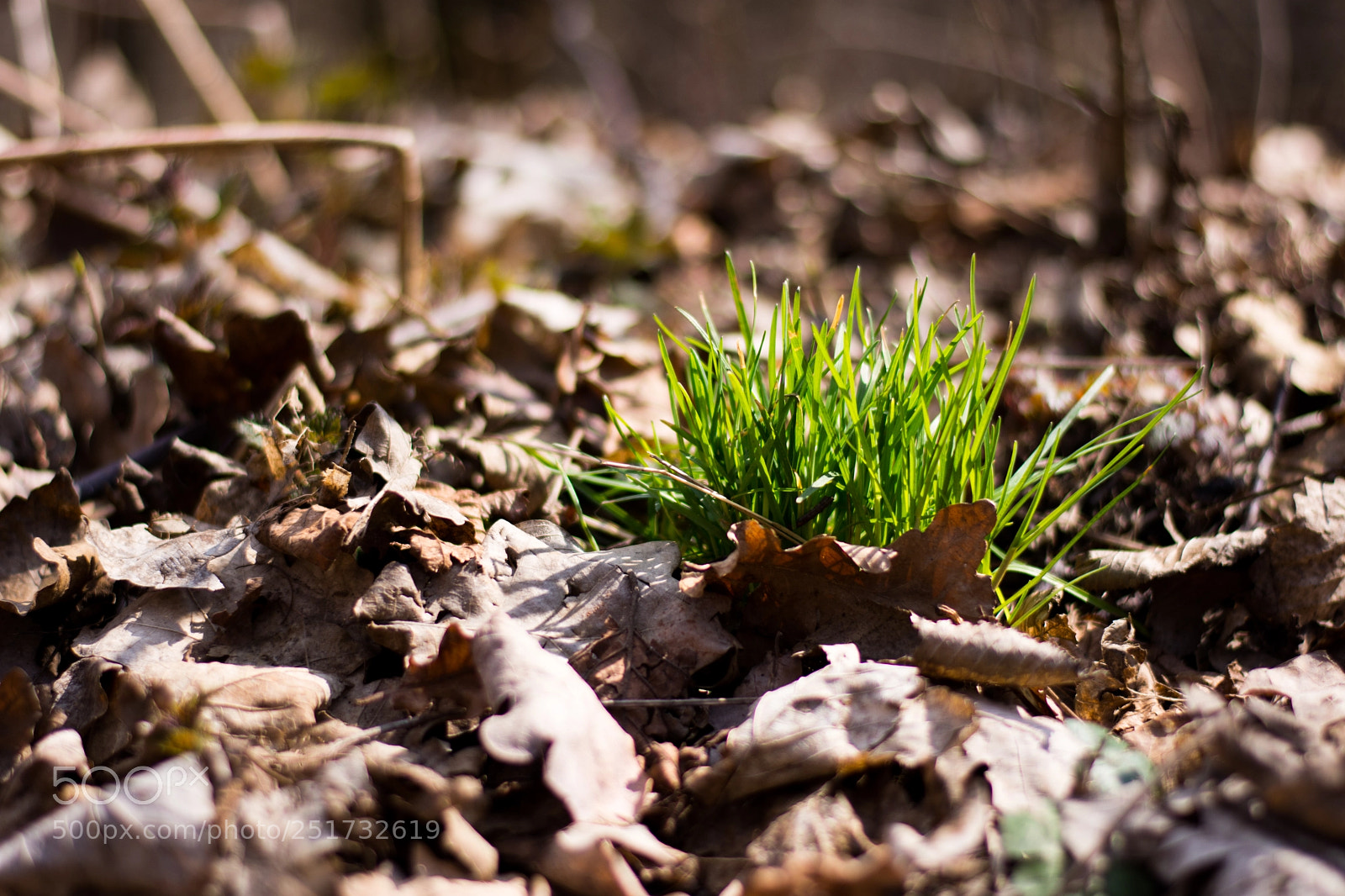 Nikon D7200 sample photo. Tix photography