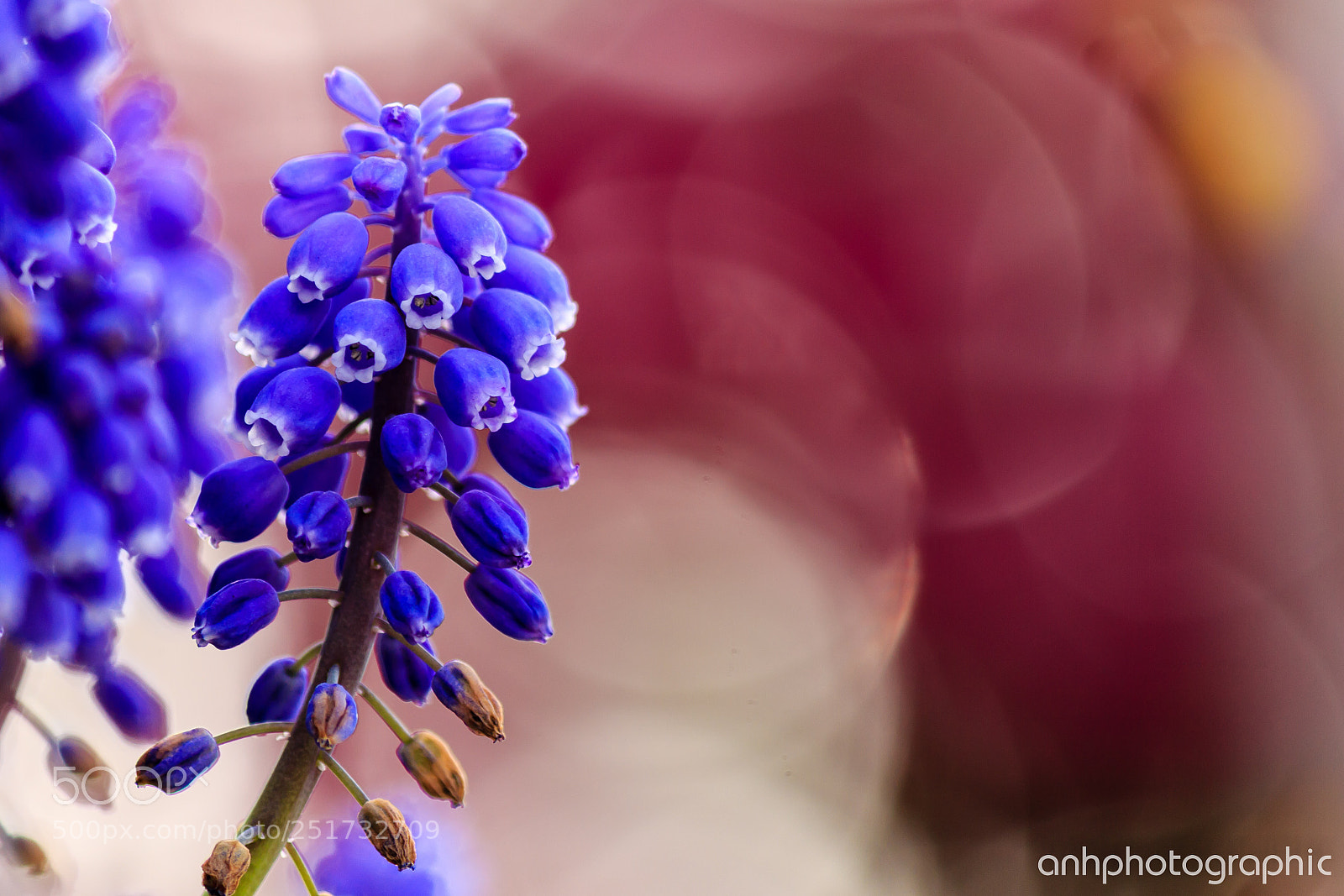 Canon EOS 60D sample photo. Untitled photography