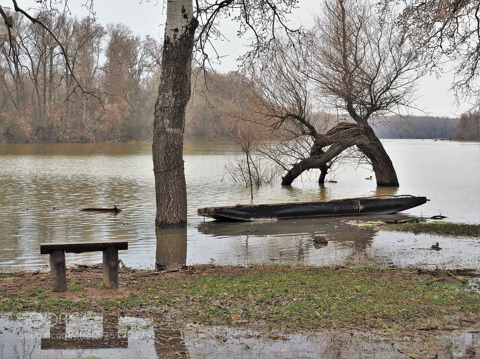 Olympus OM-D E-M5 II sample photo. Flash flood photography