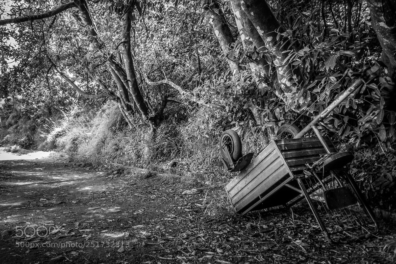 Sony Cyber-shot DSC-RX100 III sample photo. Cart on path 2 photography