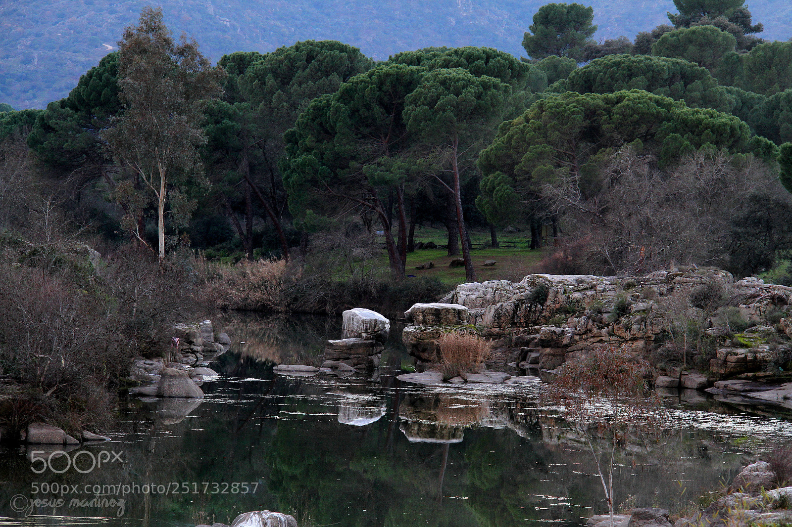 Canon EOS 7D sample photo. Untitled photography