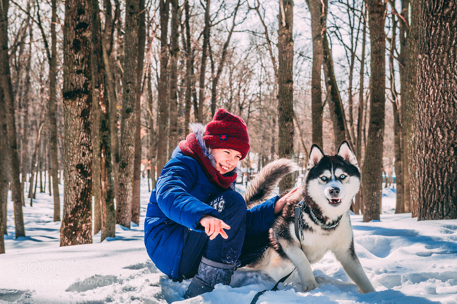 Canon EOS 700D (EOS Rebel T5i / EOS Kiss X7i) sample photo. Husky photography