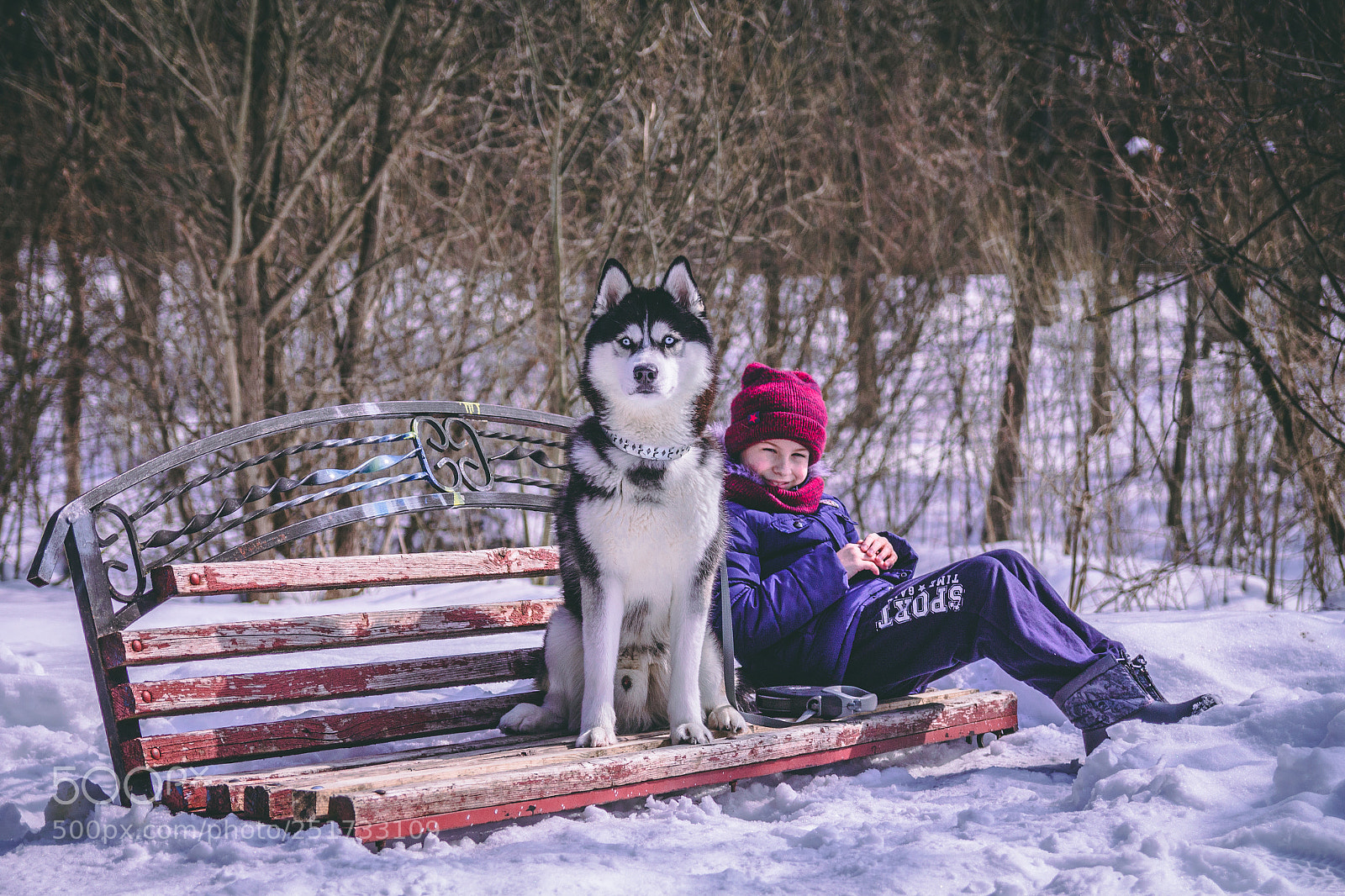 Canon EOS 700D (EOS Rebel T5i / EOS Kiss X7i) sample photo. Husky photography