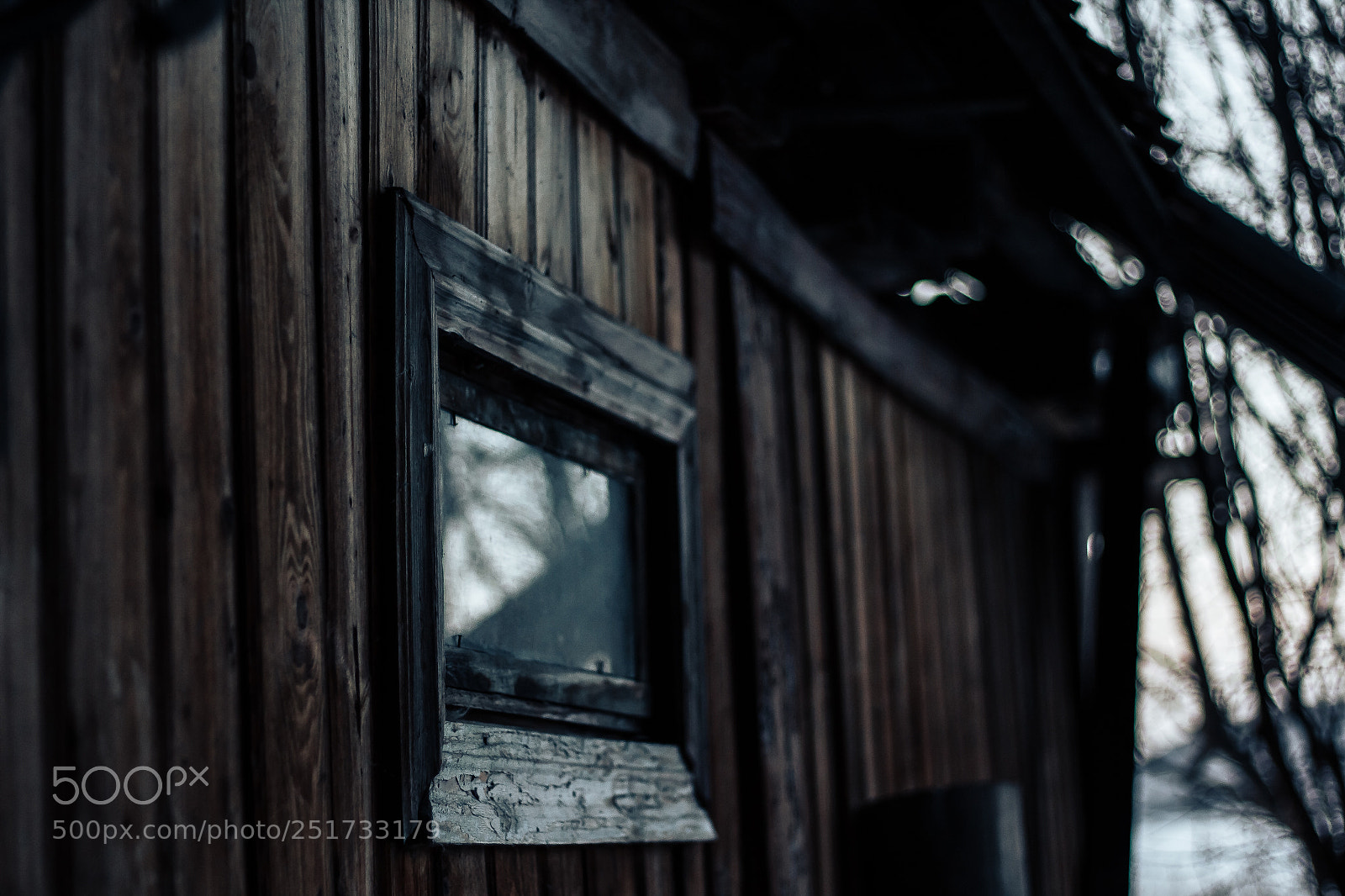 Canon EOS 60D sample photo. Баня с обратной стороны photography