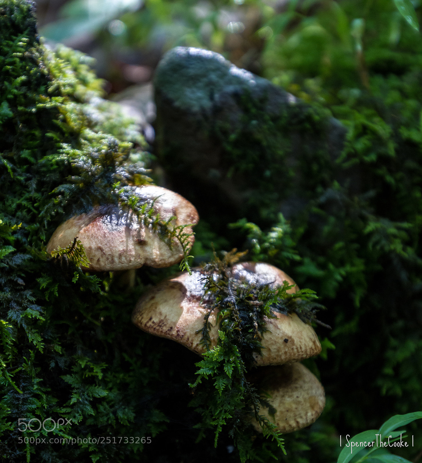 Canon EOS 7D sample photo. Triple stack photography