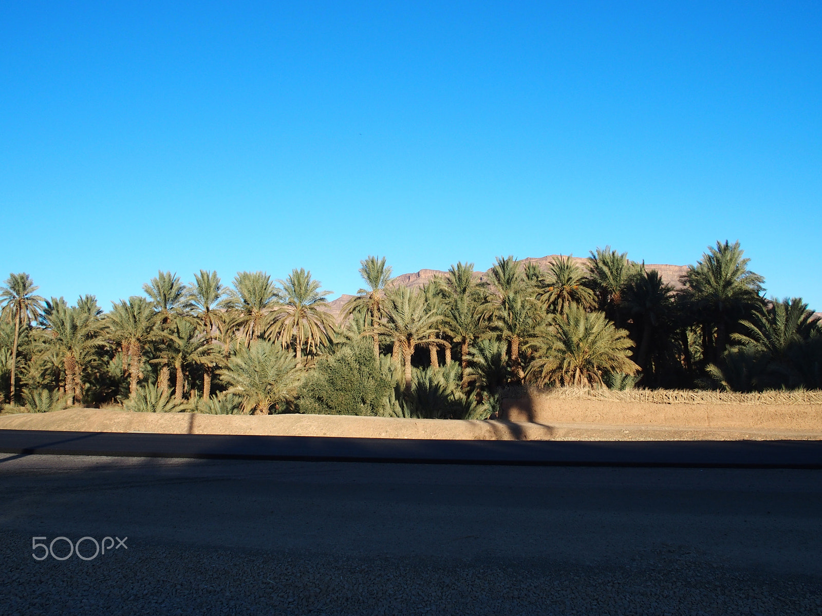 Olympus STYLUS1,1s sample photo. New black asphalt road, landscape of green palm trees in oasis in central morocco in old oulad... photography
