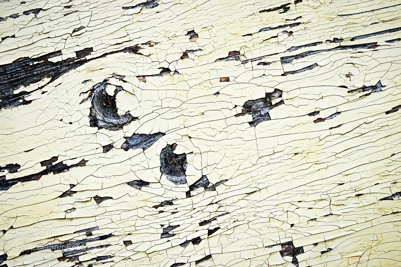 Nikon D5500 sample photo. Cracks on the paint photography