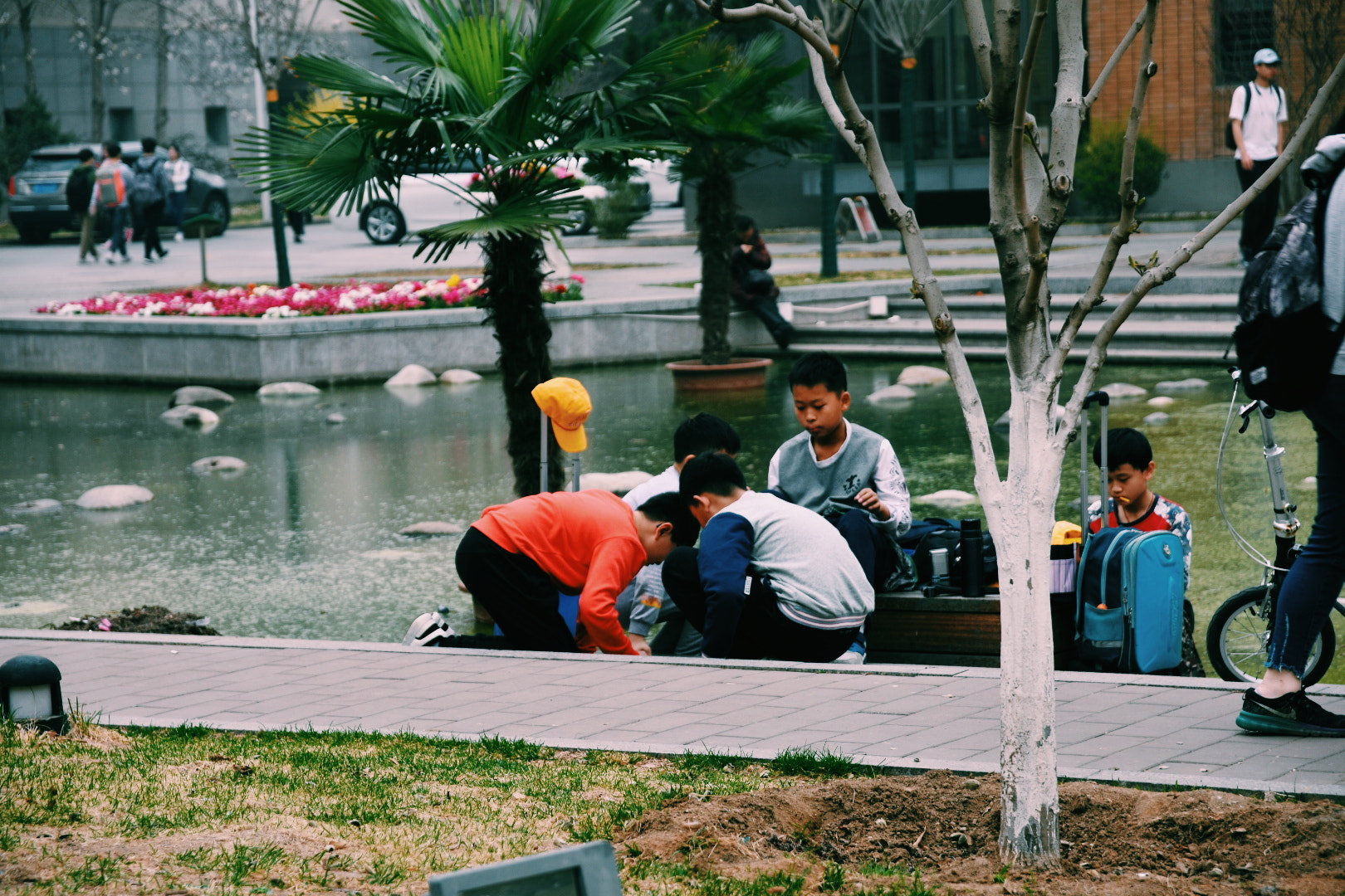 Sigma 17-70mm F2.8-4 DC Macro OS HSM | C sample photo. Processed with vsco with c1 preset photography