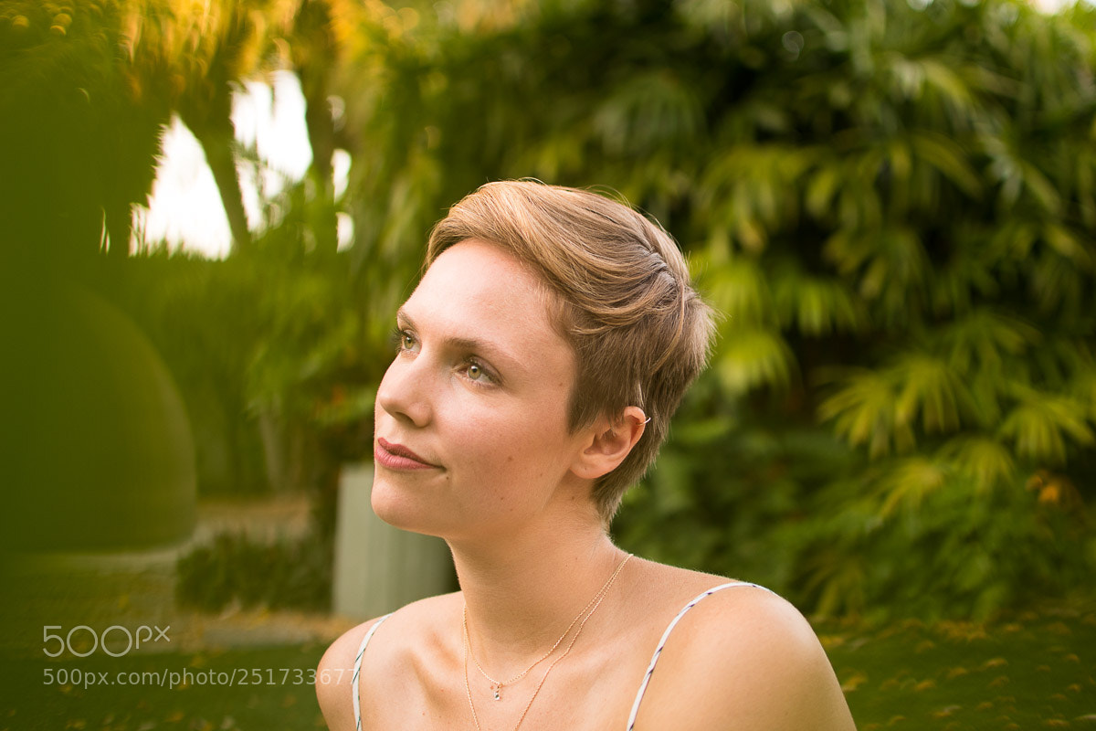 Nikon D5500 sample photo. Through the leaves photography