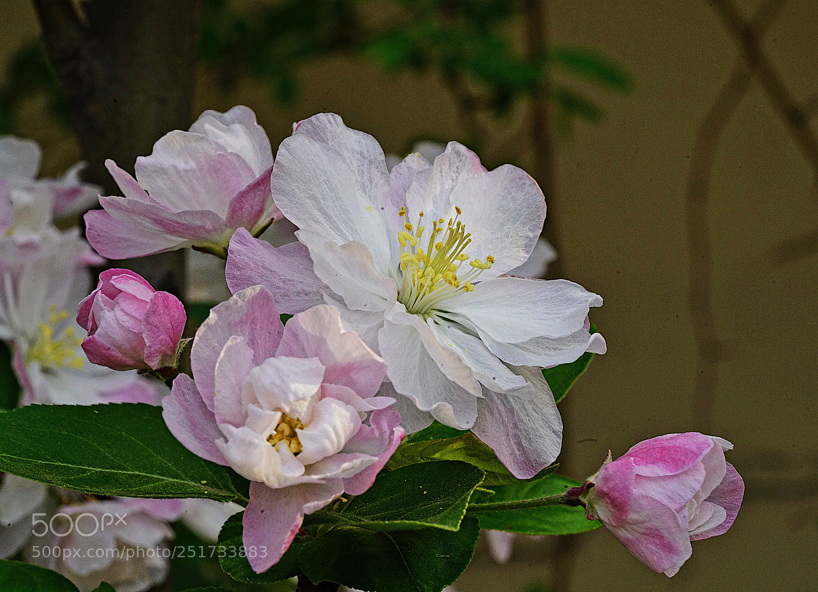 Sony a7R II sample photo. Untitled photography