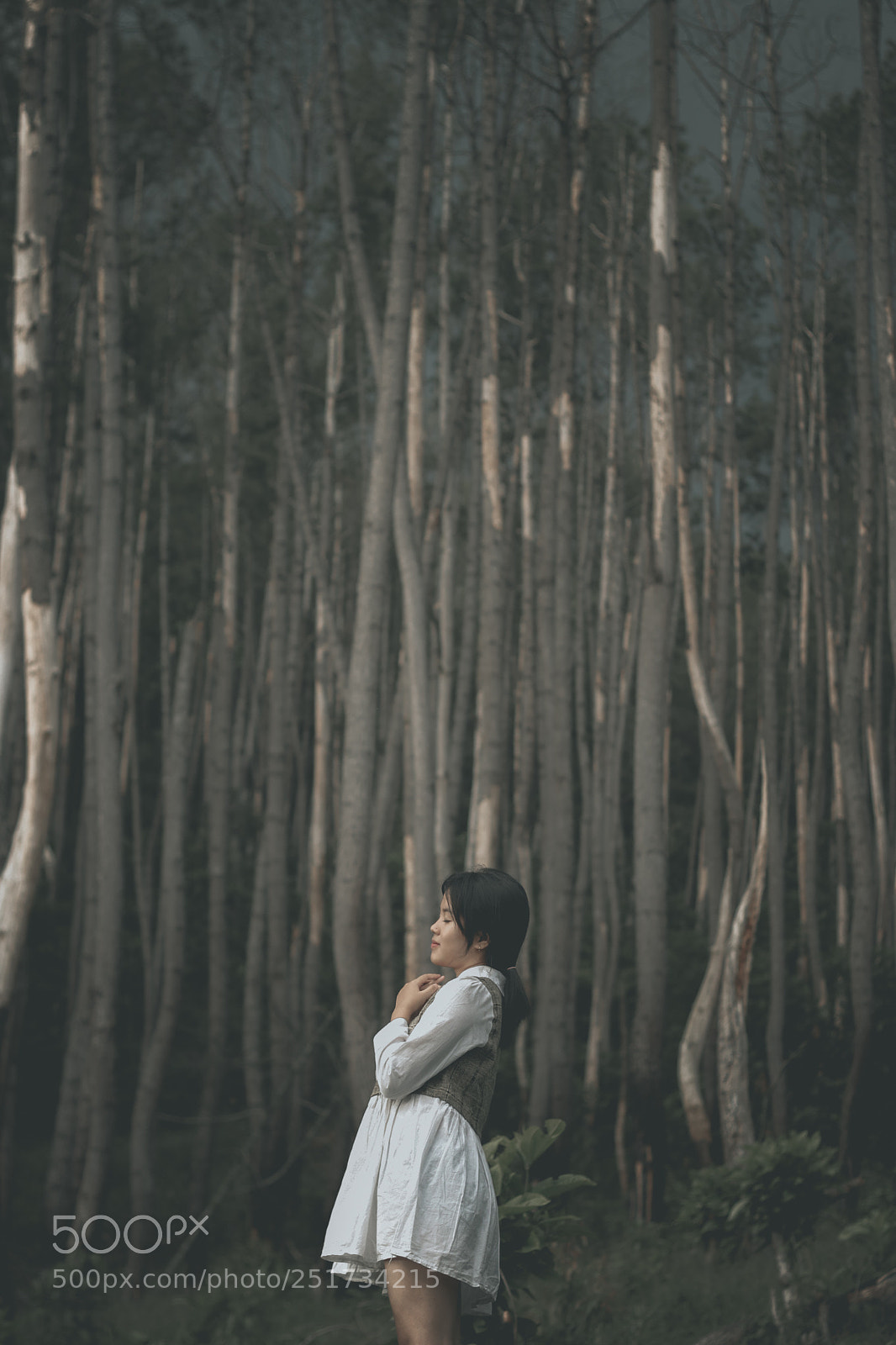 Canon EOS 80D sample photo. Untitled photography