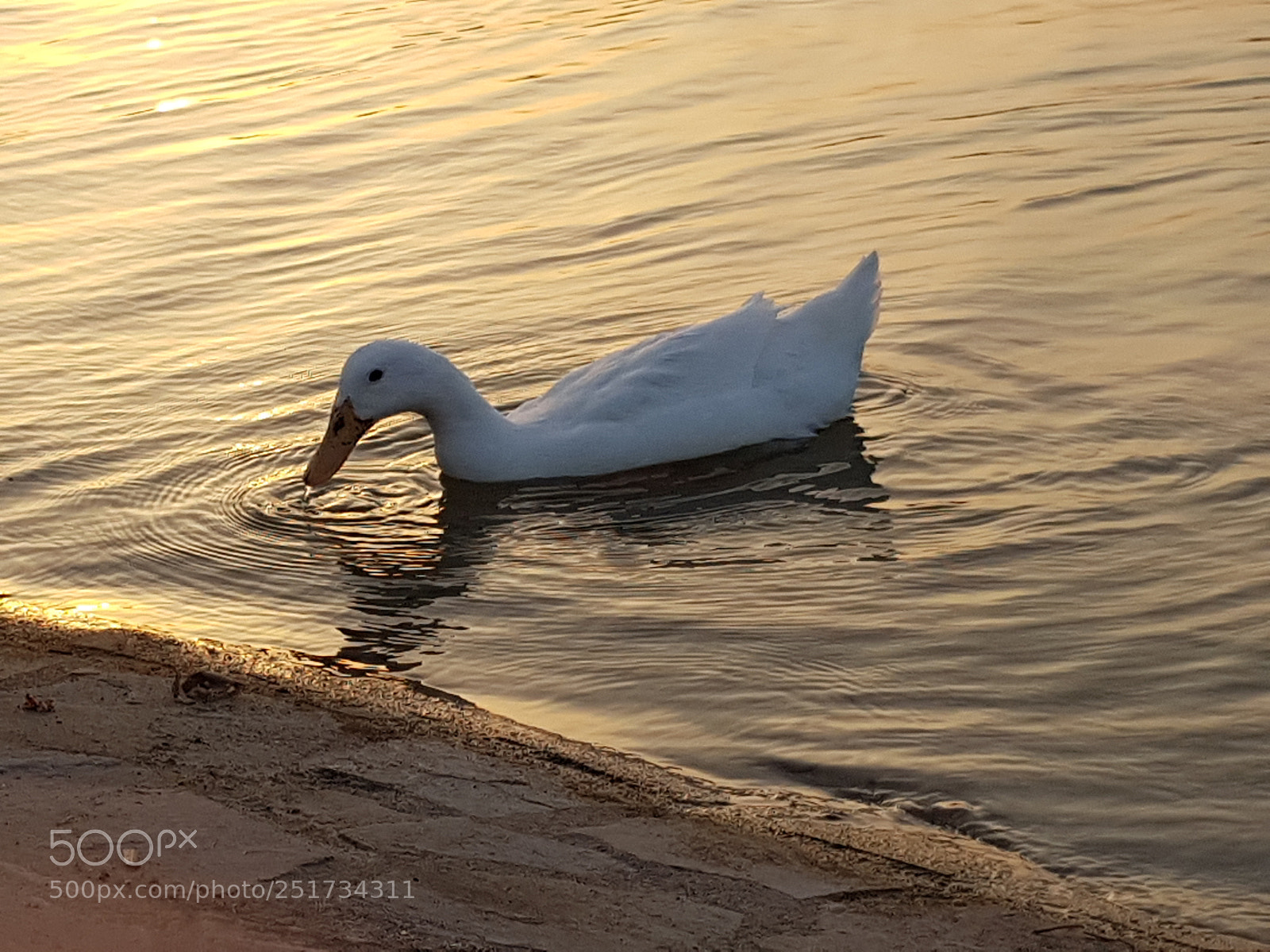 Samsung Galaxy S7 Edge sample photo. Untitled photography