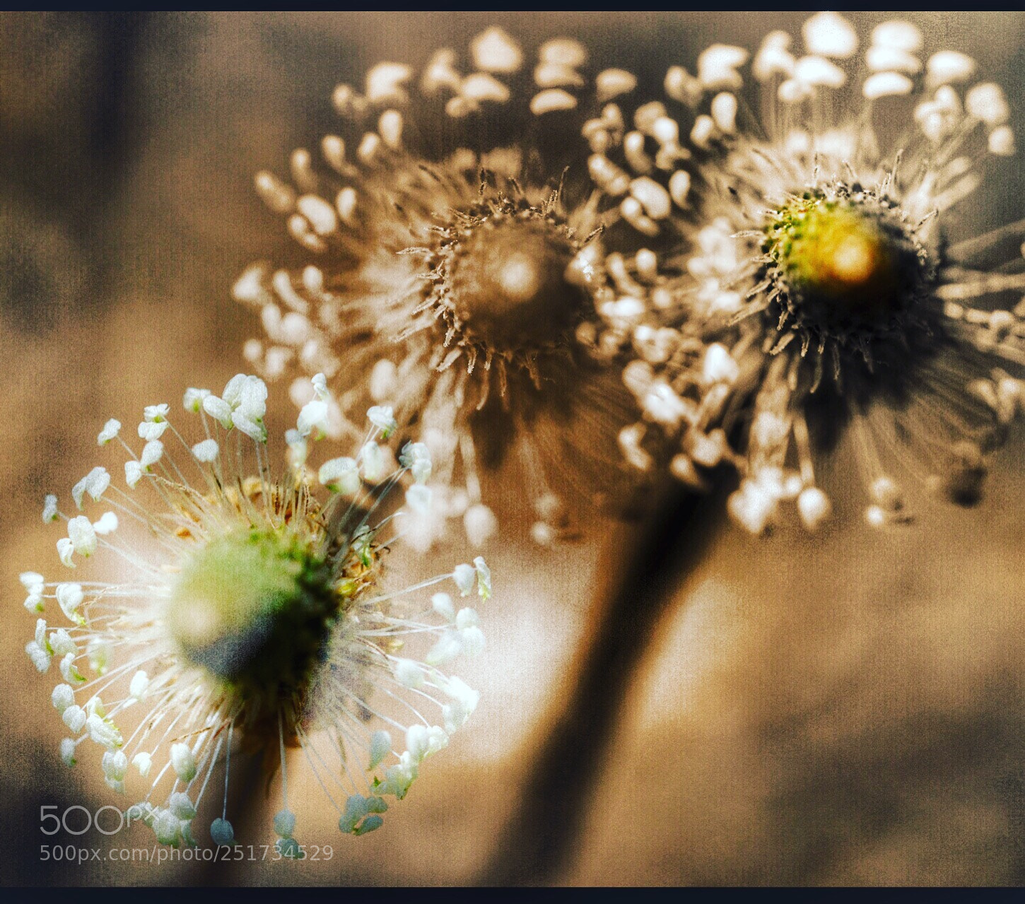 Canon EOS 80D sample photo. Untitled photography
