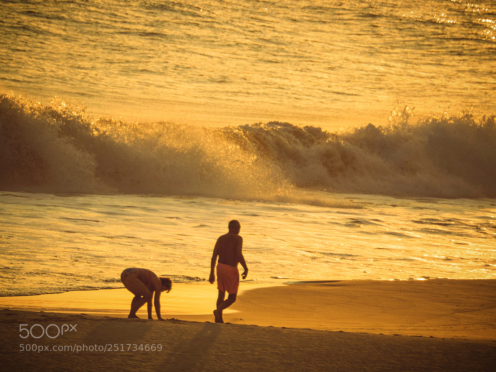 Olympus OM-D E-M5 II sample photo. The golden dusk photography
