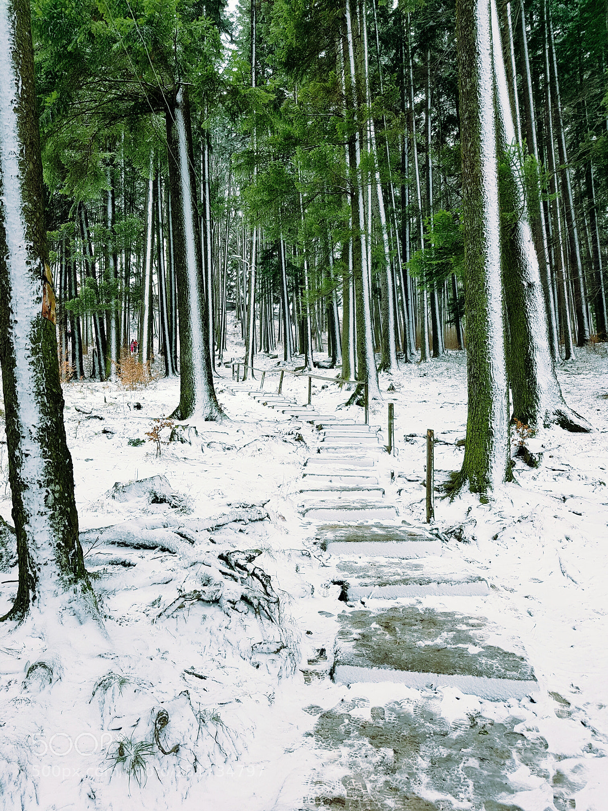 Samsung Galaxy S7 Edge sample photo. Lines photography