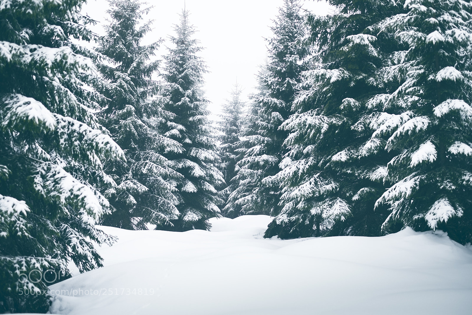 Fujifilm X-T1 sample photo. Winter in jizera mountains photography