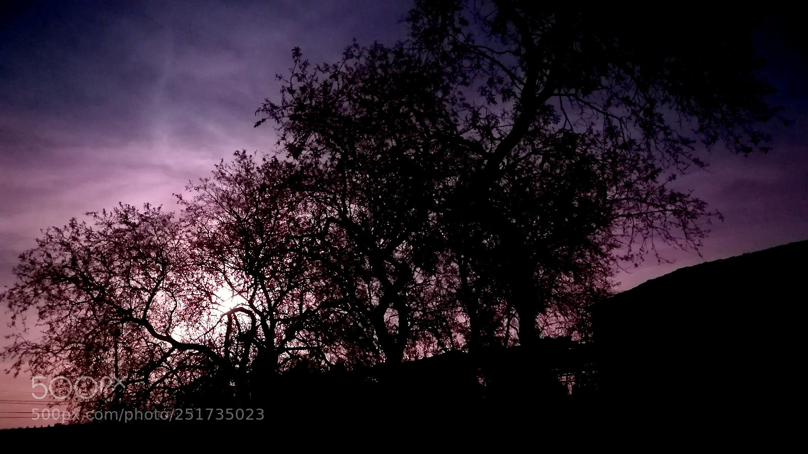 HUAWEI P9 sample photo. Purple sky photography
