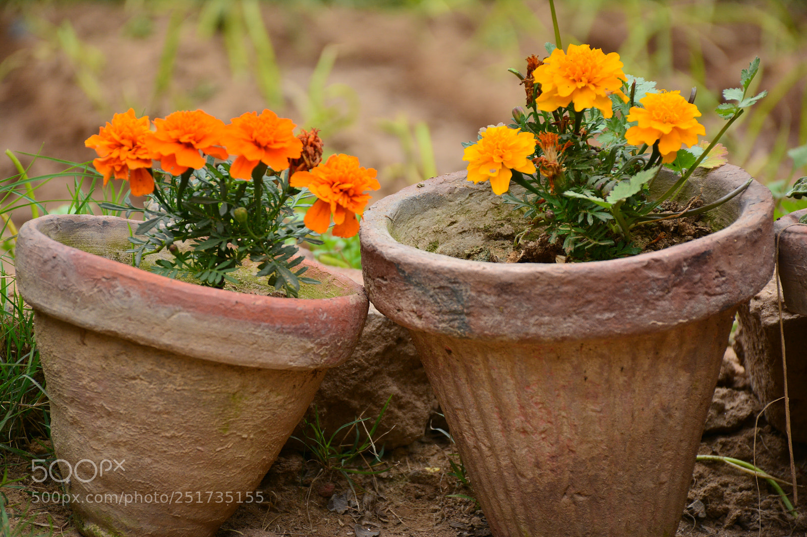 Nikon D7100 sample photo. Untitled photography