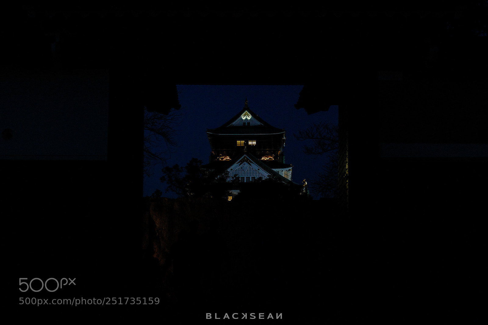 Canon EOS 70D sample photo. Osaka castle photography