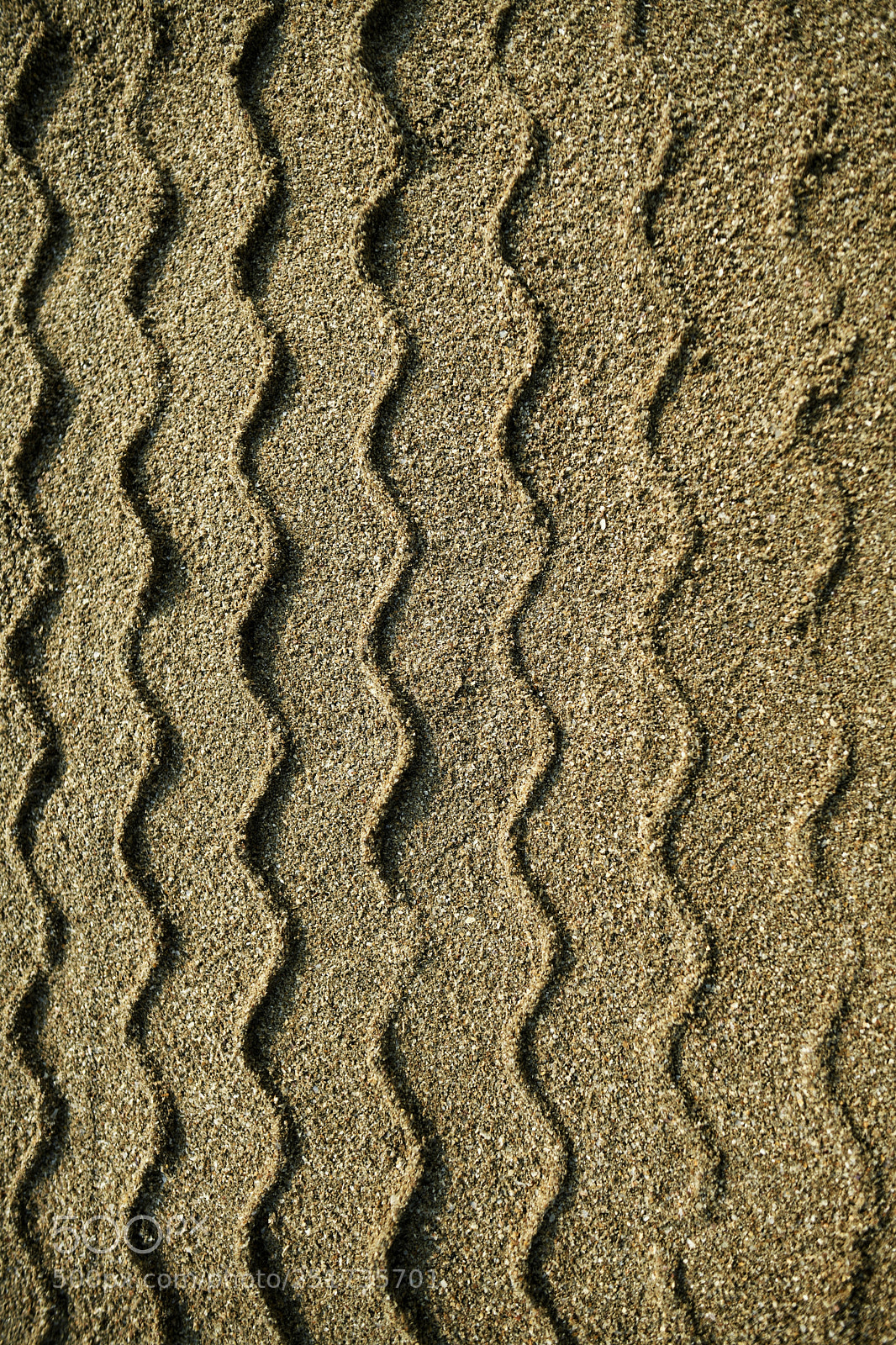 Nikon D850 sample photo. Impressions fading away ... photography