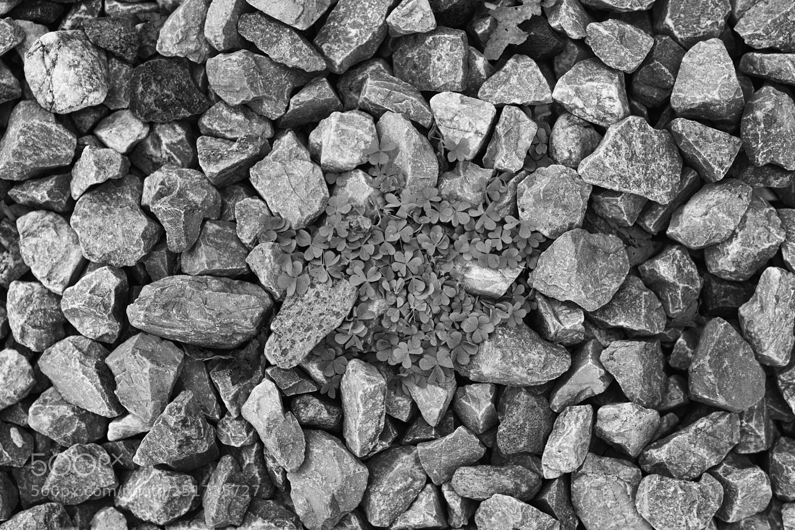 Nikon D7200 sample photo. Rocks photography