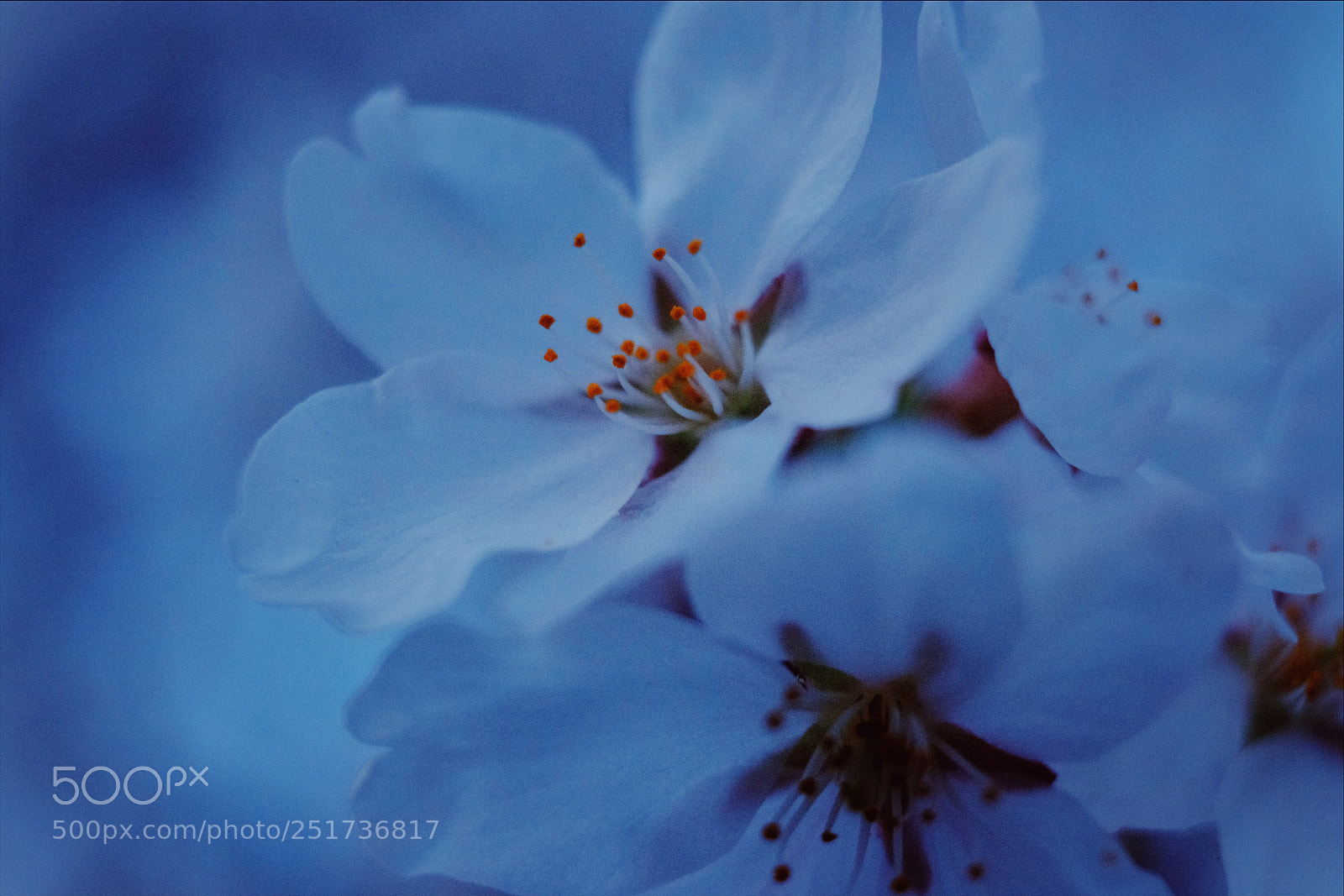 Fujifilm X-T20 sample photo. Untitled photography