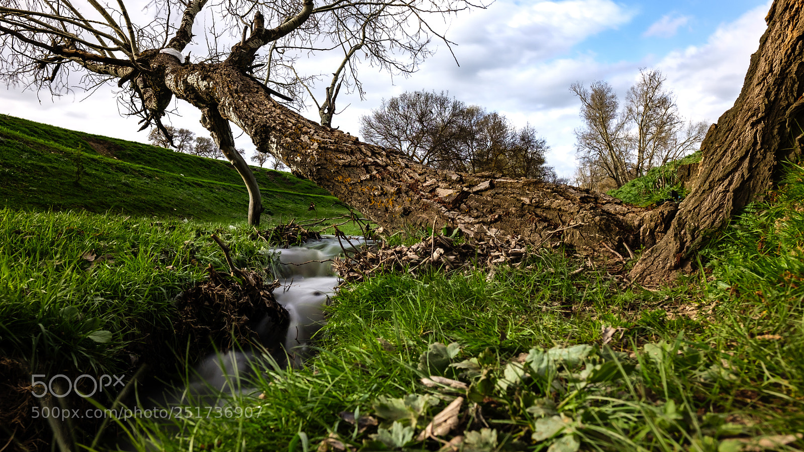 Fujifilm X-T20 sample photo. With the spring! photography