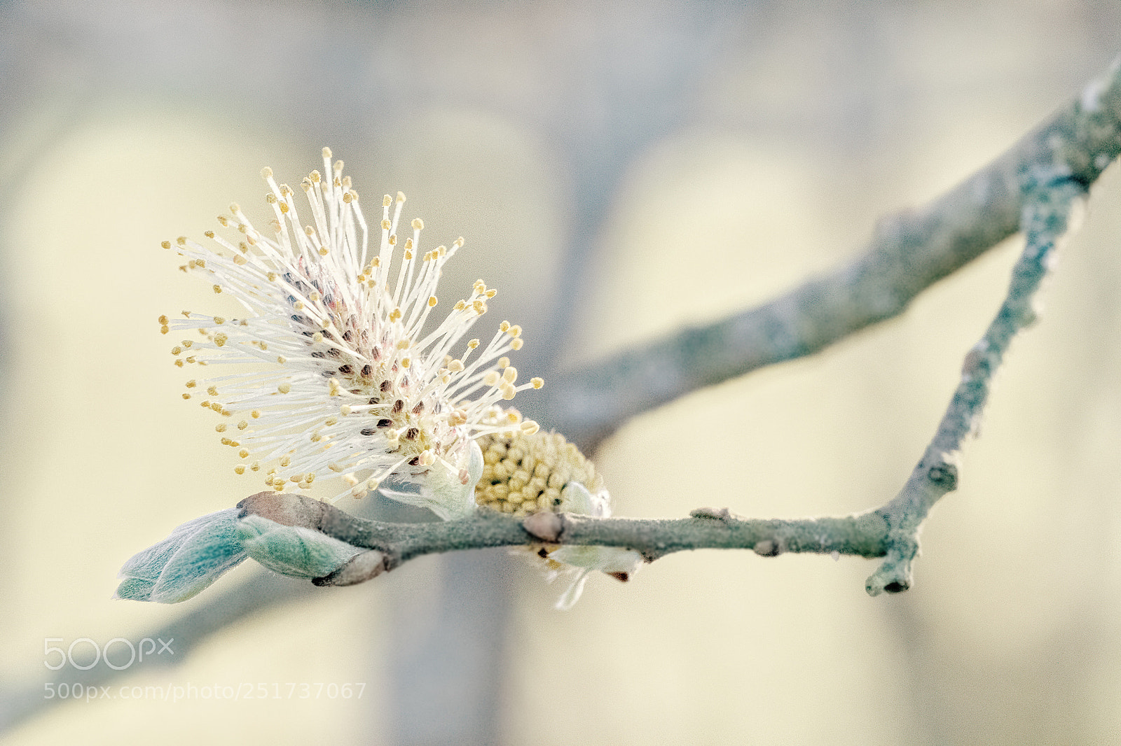 Canon EOS 7D sample photo. Spring 2018 photography