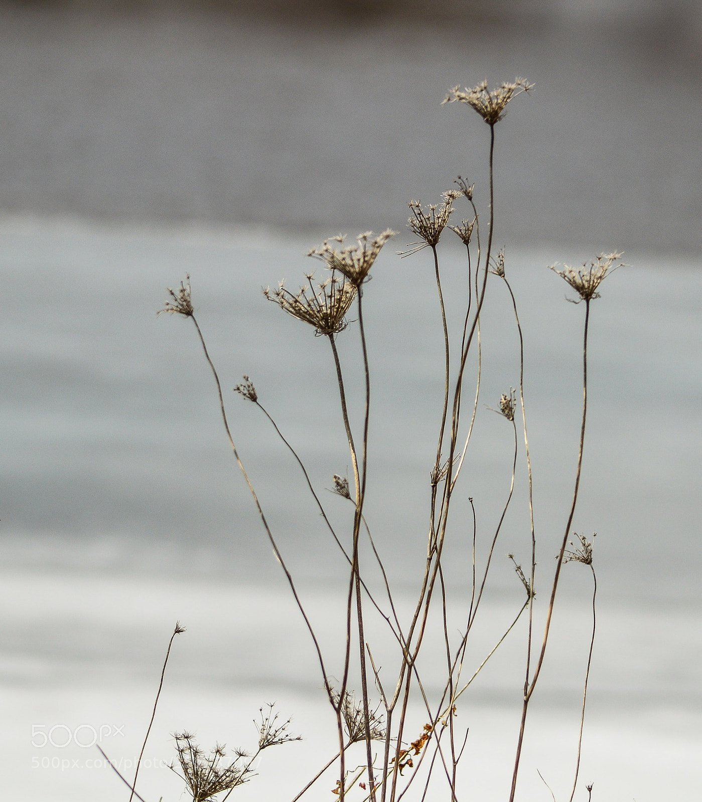 Nikon D3200 sample photo. Untitled photography