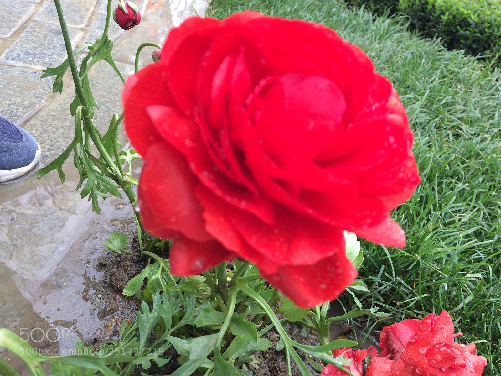 Apple iPhone 5s sample photo. Untitled photography