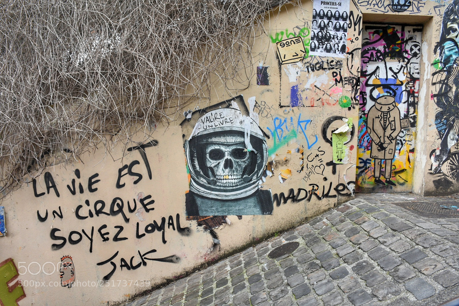 Nikon D7200 sample photo. Artecallejero streetart montmartre paris photography