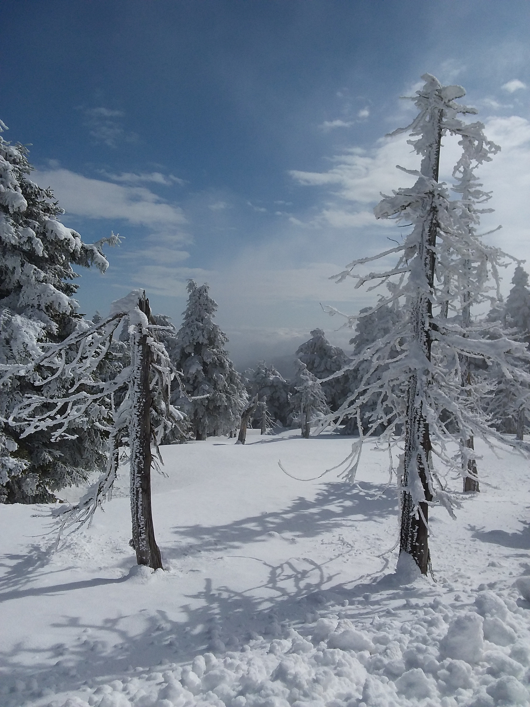 Samsung Galaxy Tab S2 9.7 sample photo. Ostersonntag auf dem brocken/harz photography